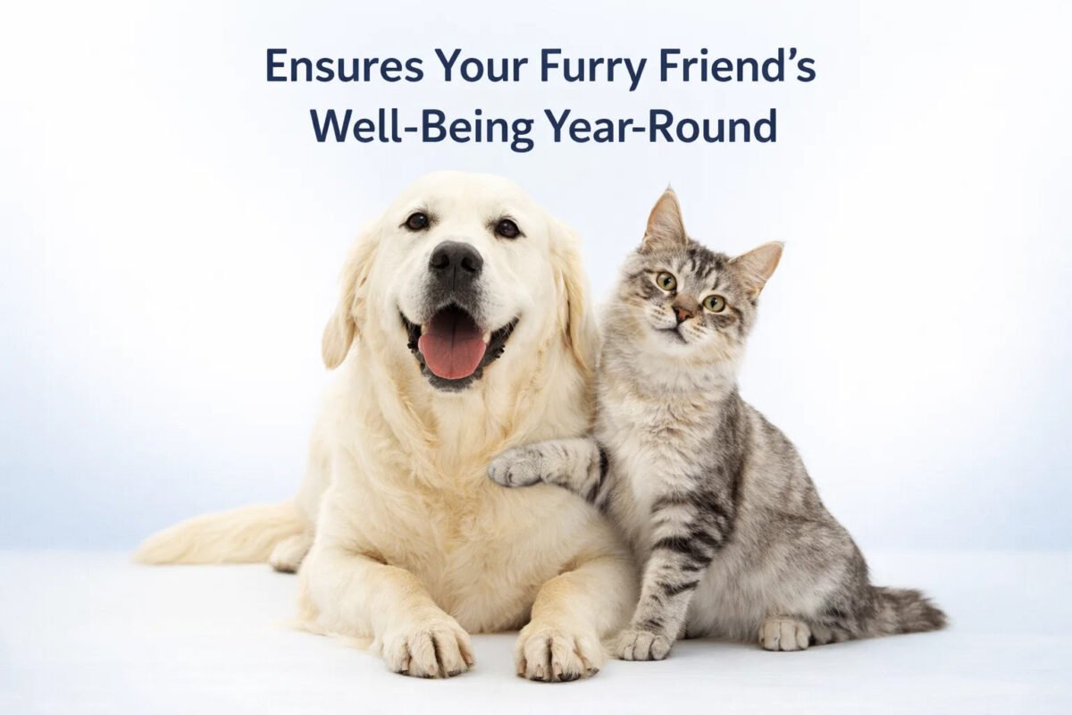 Ensures Your Furry Friend’s Well-Being Year-Round